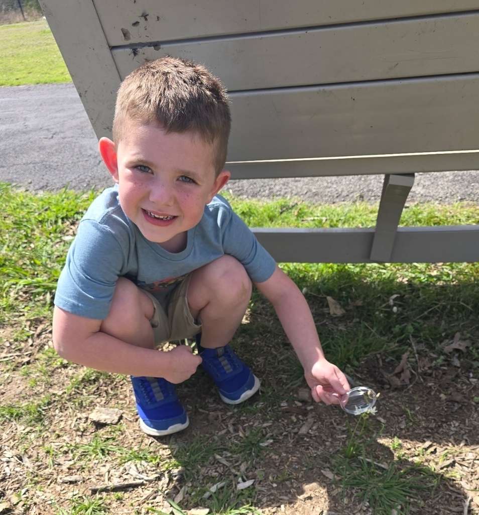 SIVELLS BEND ISD
Our Pre-K and Kindergarten investigators using their tools to hunt for rainbows and see how light moves. Science is even more beautiful up close! 🔍✨
