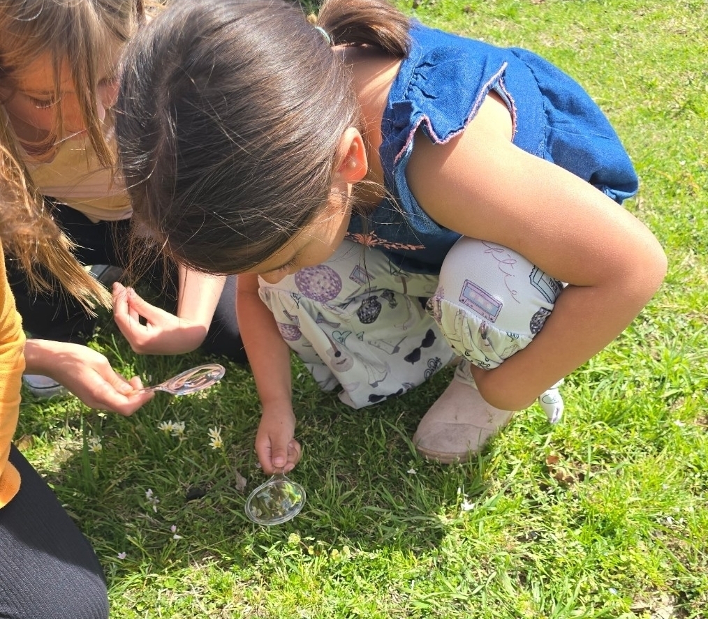 SIVELLS BEND ISD
Our Pre-K and Kindergarten investigators using their tools to hunt for rainbows and see how light moves. Science is even more beautiful up close! 🔍✨