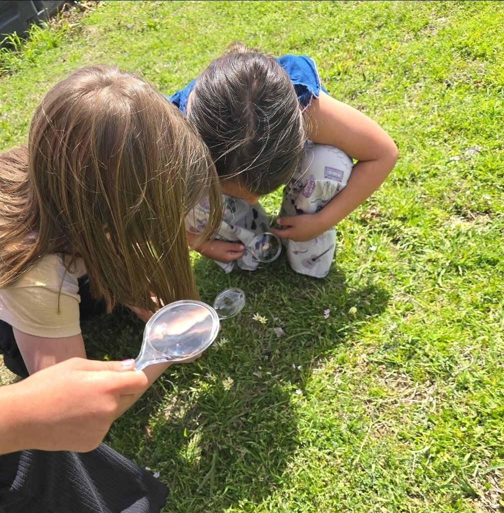 SIVELLS BEND ISD
Our Pre-K and Kindergarten investigators using their tools to hunt for rainbows and see how light moves. Science is even more beautiful up close! 🔍✨