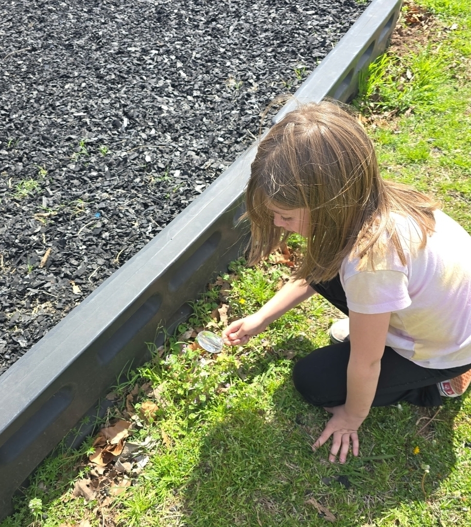 SIVELLS BEND ISD
Our Pre-K and Kindergarten investigators using their tools to hunt for rainbows and see how light moves. Science is even more beautiful up close! 🔍✨