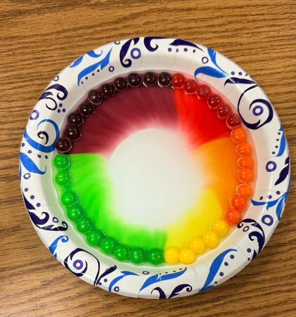 SIVELLS BEND ISD
Mrs Downey’s 1st and 2nd graders finished a week of celebrating St. Patrick’s day by making rainbows. They used hot water and Skittles on plates to make colorful rainbows. They also tested how well this would work with cold water. It was a fun week!