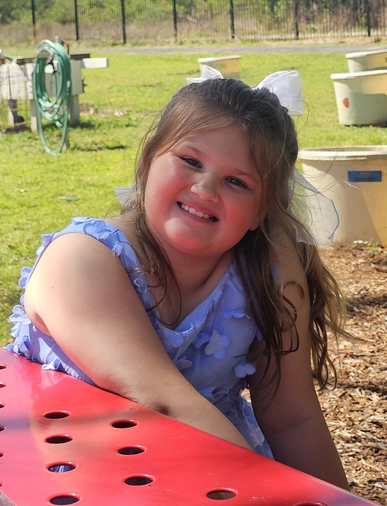 Sivells Bend ISD -
🐰 HAPPY EASTER 🐰Playtime after Lunch