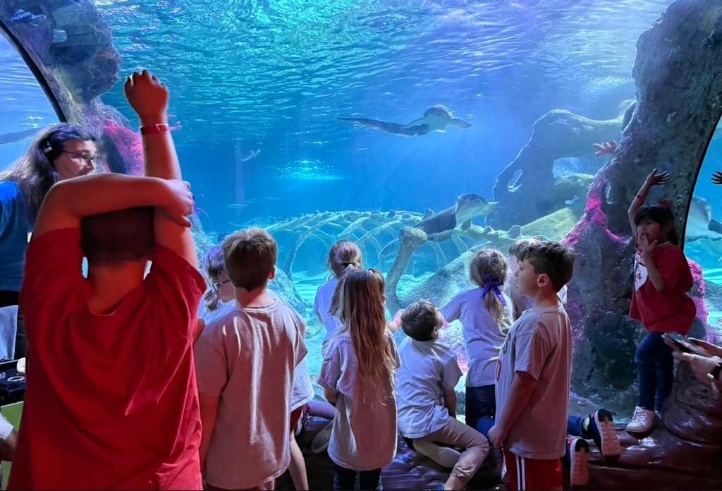 SIVELLS BEND ISD
PK - 2ND GRADE
FIELD TRIP
GRAPEVINE MILLS
▪︎ LEGO LAND
▪︎ SEA LIFE AQUARIUM
▪︎ HORSE CAROUSEL