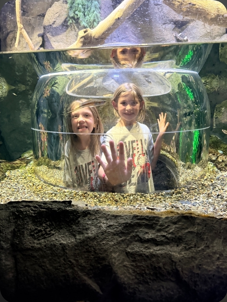 SIVELLS BEND ISD
PK - 2ND GRADE
FIELD TRIP
GRAPEVINE MILLS