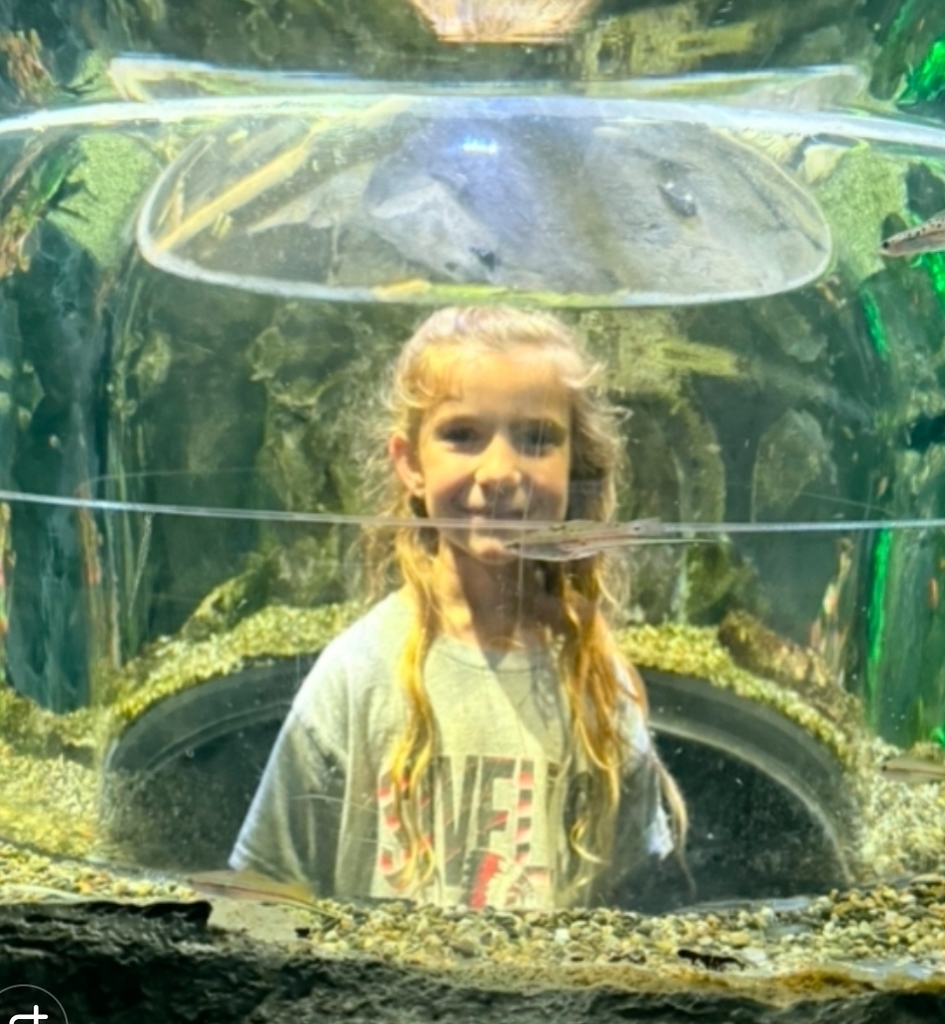 SIVELLS BEND ISD
PK - 2ND GRADE
FIELD TRIP
GRAPEVINE MILLS