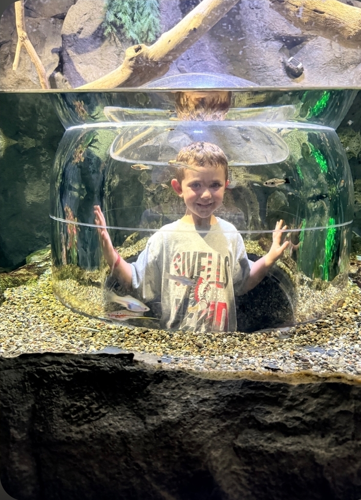 SIVELLS BEND ISD
PK - 2ND GRADE
FIELD TRIP
GRAPEVINE MILLS