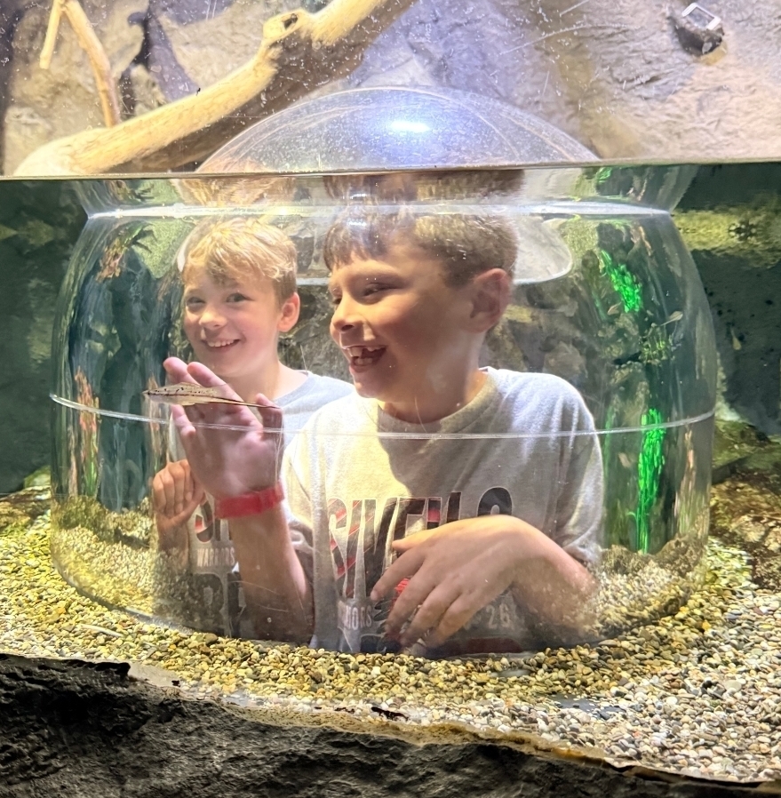 SIVELLS BEND ISD
PK - 2ND GRADE
FIELD TRIP
GRAPEVINE MILLS