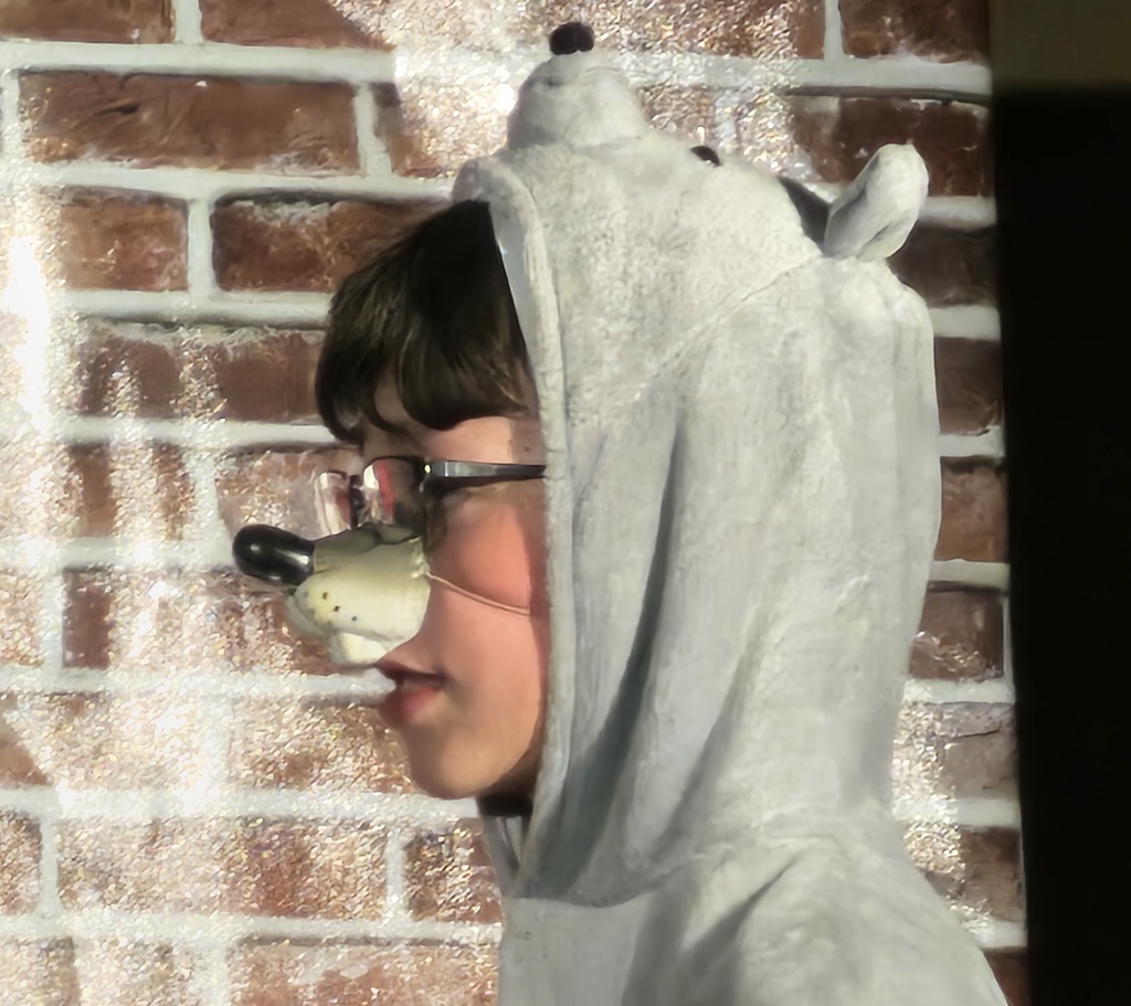 Sivells Bend ISD
Spring Play
THE TOWN MOUSE AND THE COUNTRY MOUSE