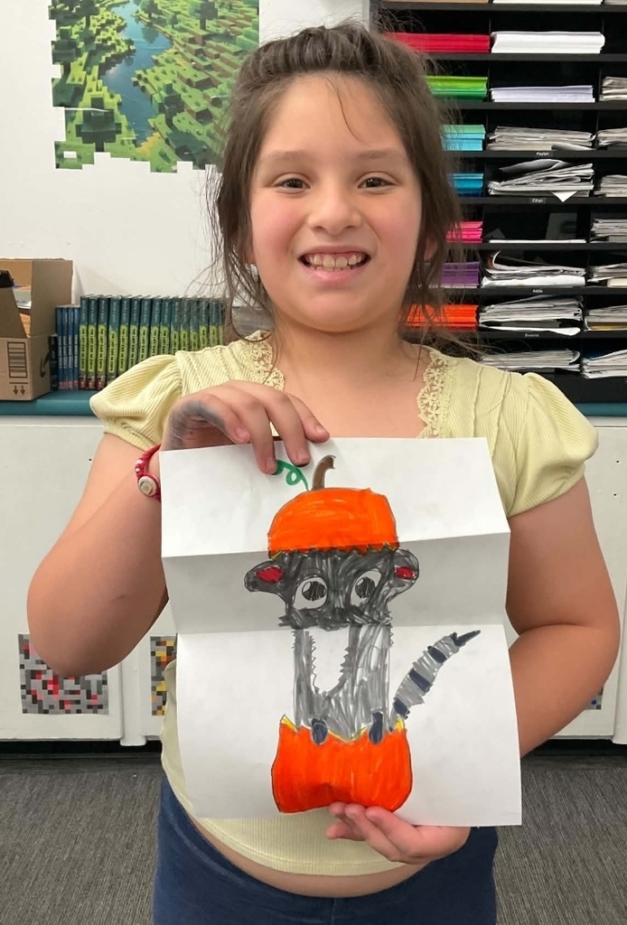 SIVELLSBEND ISD
3rd and 4th made folding surprise raccoons today!
