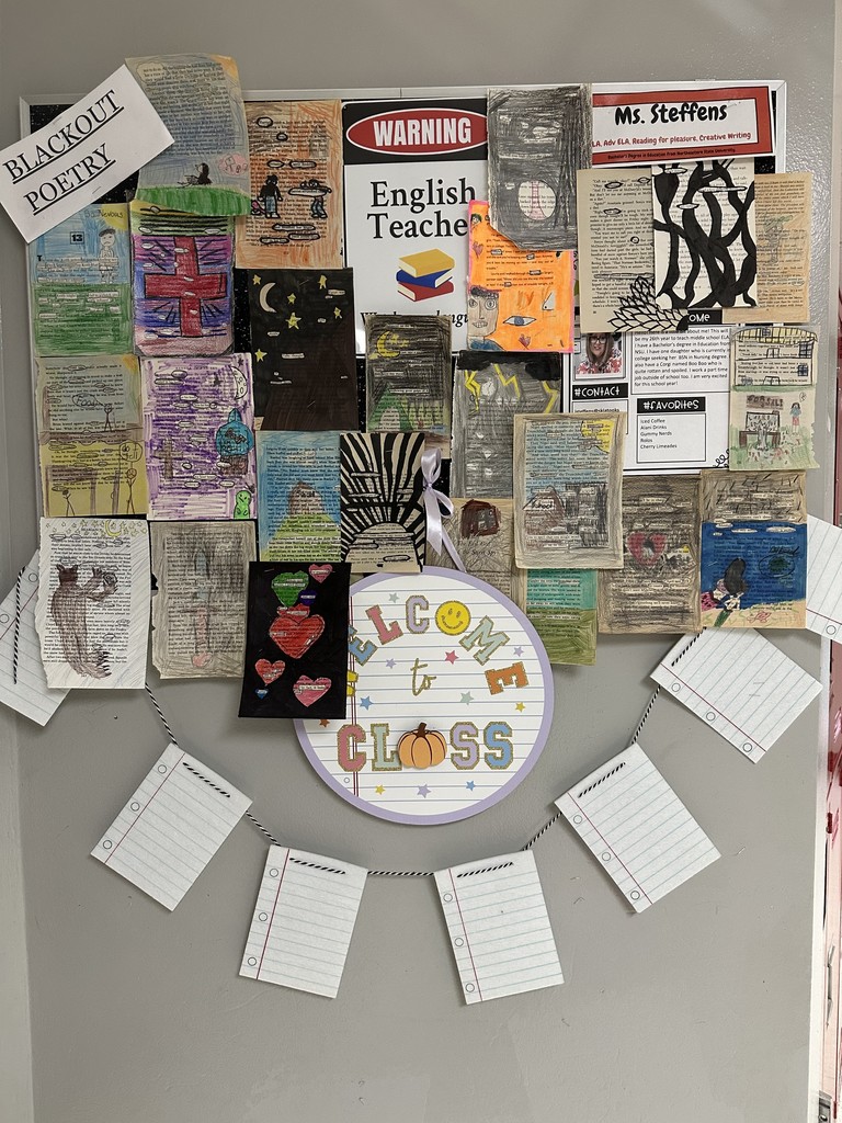 MS STEFFENS CLASS ART WORK