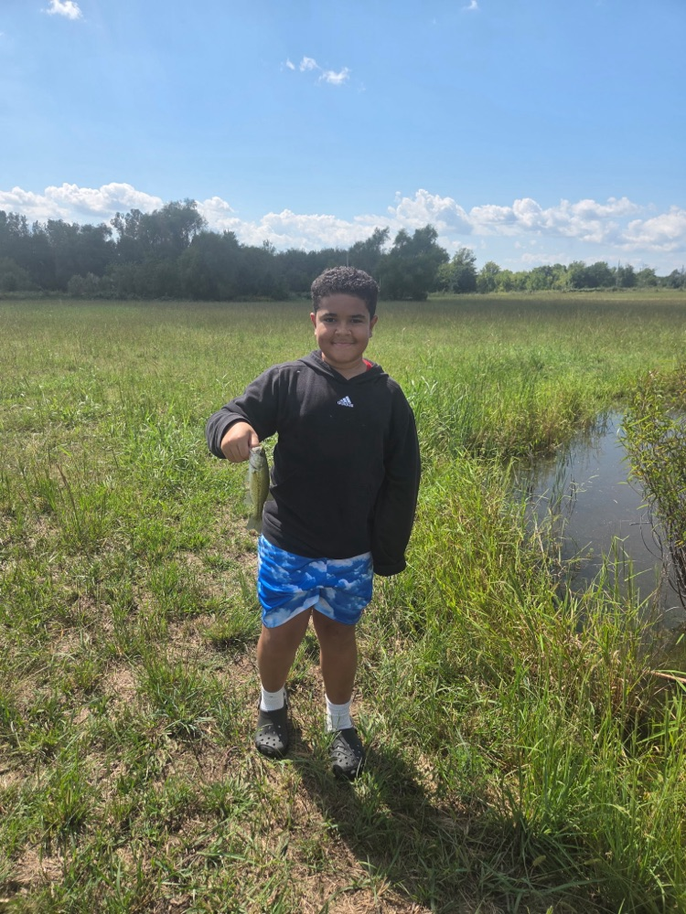 catching fish