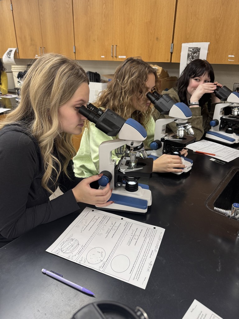 Microscope