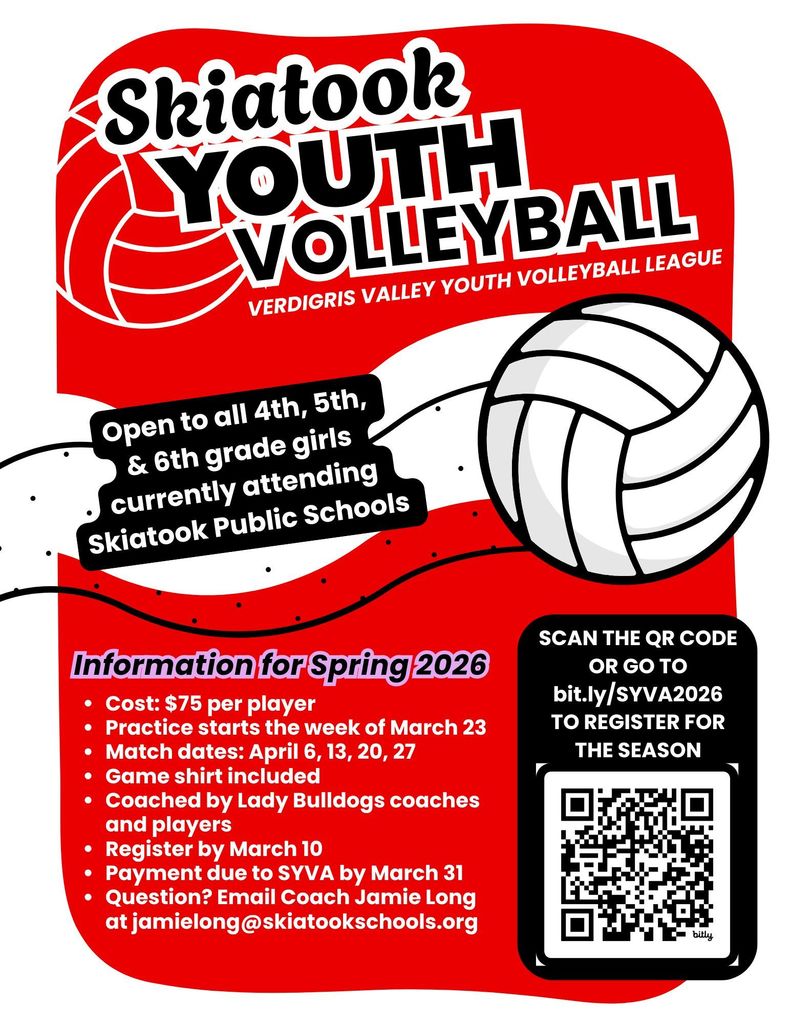 youth volleyball
