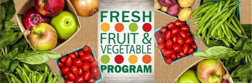 Banner showing apples, tomatoes, green beans and lettuce on each side of a titile saying "Fresh Fruit and Vegetable Program"