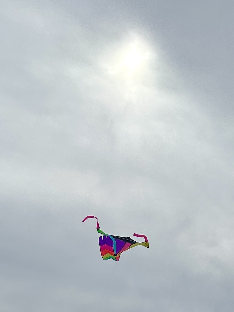 PE and Kite Flying