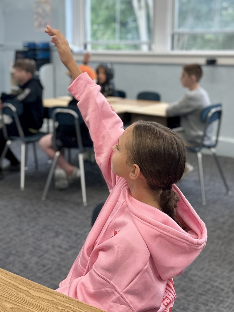 Student in a pink hoodie raises her hand during classroom instruction.