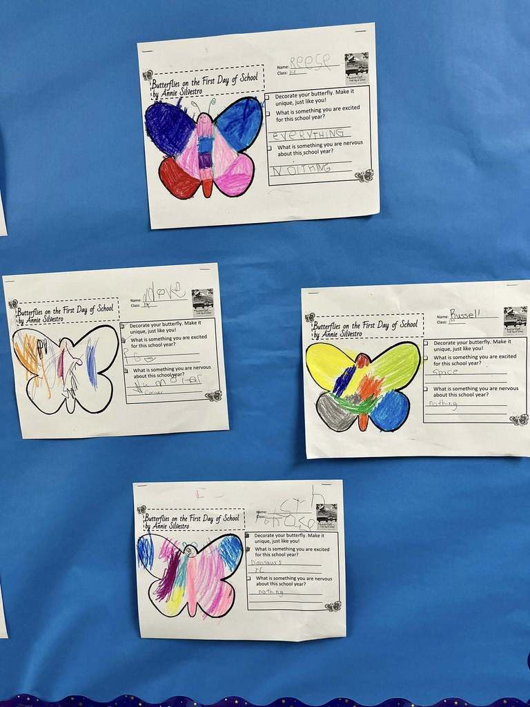 Colorful butterfly drawings created by 1st grade students are displayed on a classroom bulletin board