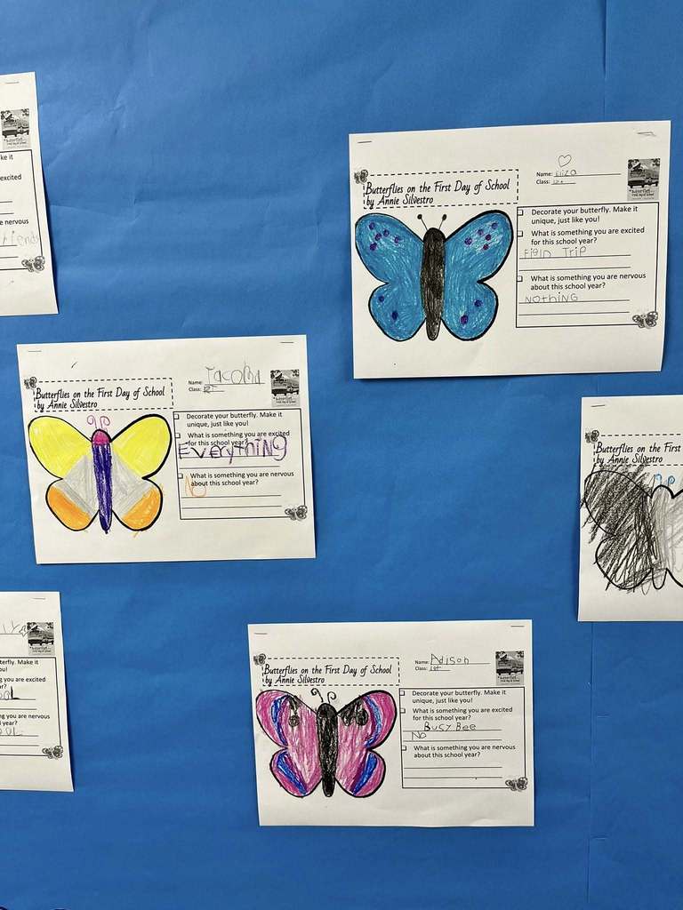 Colorful butterfly drawings created by 1st grade students are displayed on a classroom bulletin board