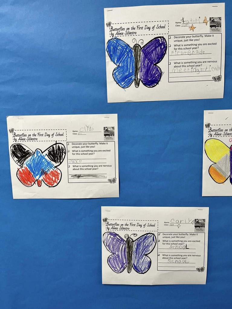 Colorful butterfly drawings created by 1st grade students are displayed on a classroom bulletin board