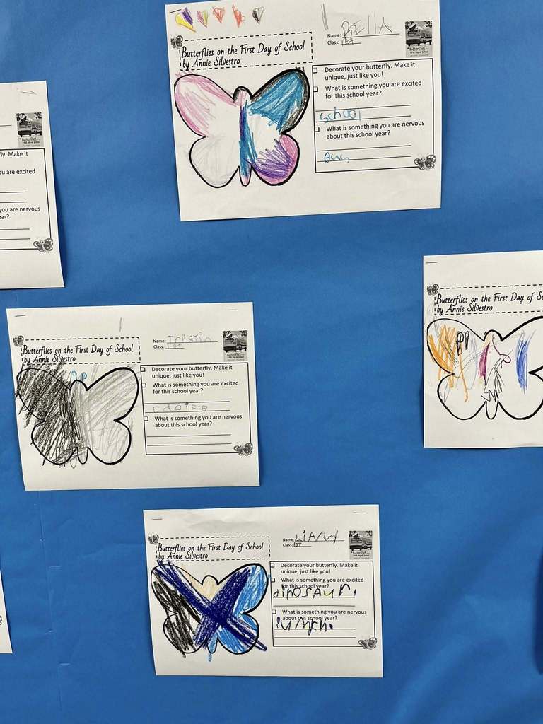 Colorful butterfly drawings created by 1st grade students are displayed on a classroom bulletin board