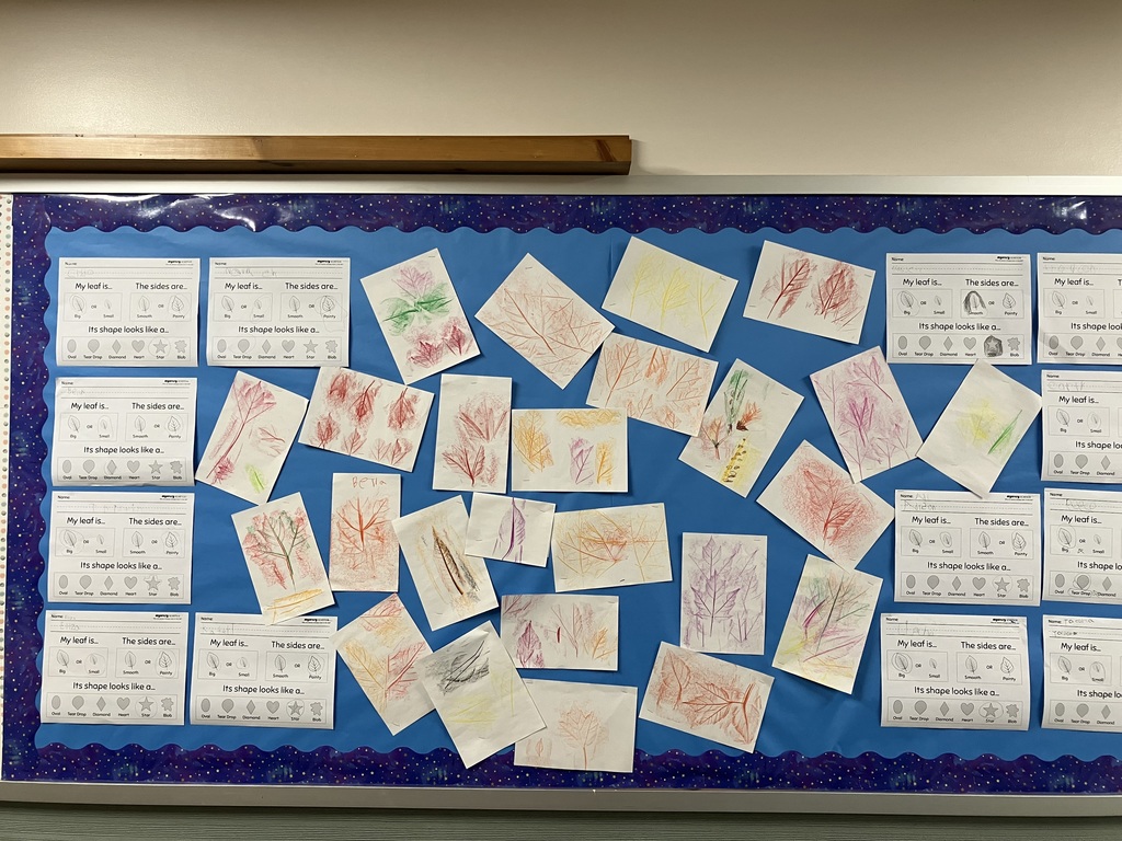 Student work from around the classrooms! 