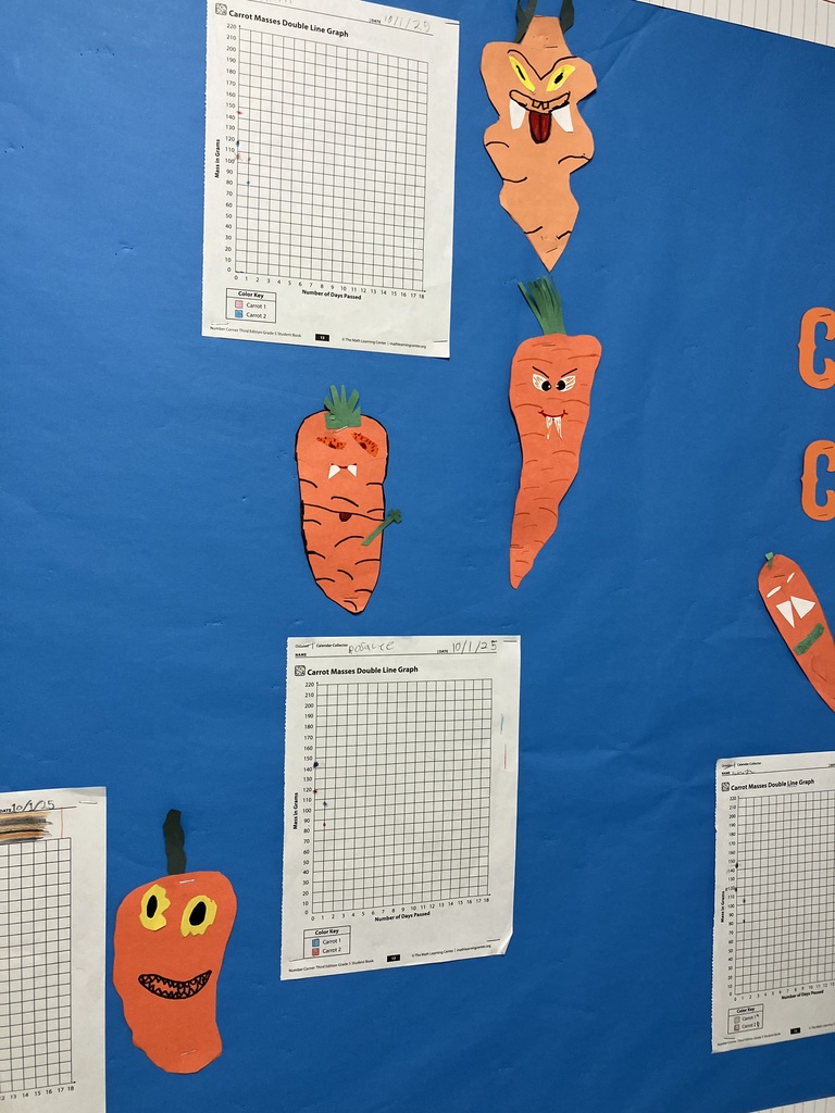 Student work from around the classrooms! 