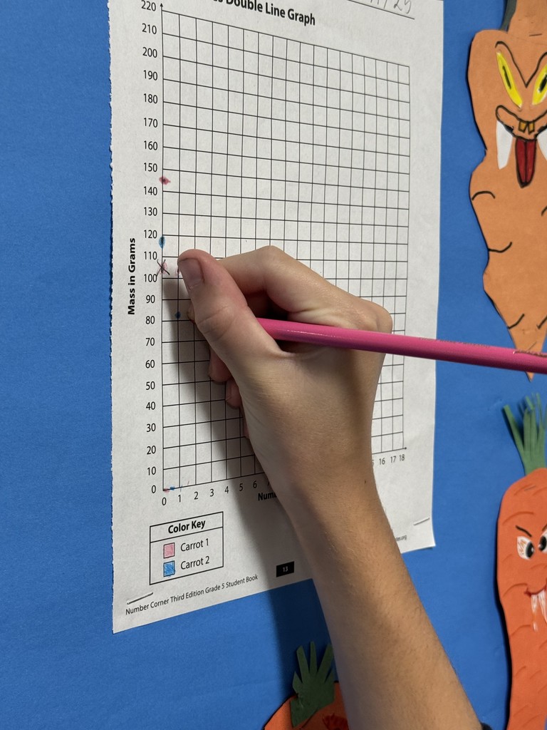 5th graders are busy collecting data on our carrots for October’s Number Corner! After just  few days, our carrots’ masses are dropping, and we are graphing the progress all month!