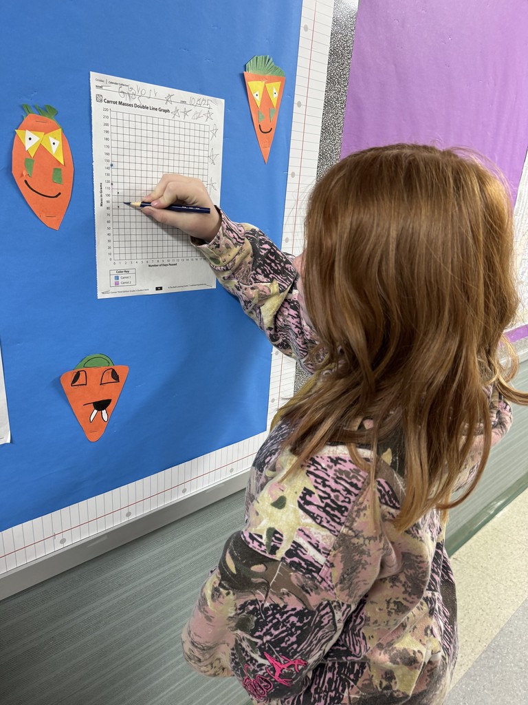 5th graders are busy collecting data on our carrots for October’s Number Corner! After just  few days, our carrots’ masses are dropping, and we are graphing the progress all month!
