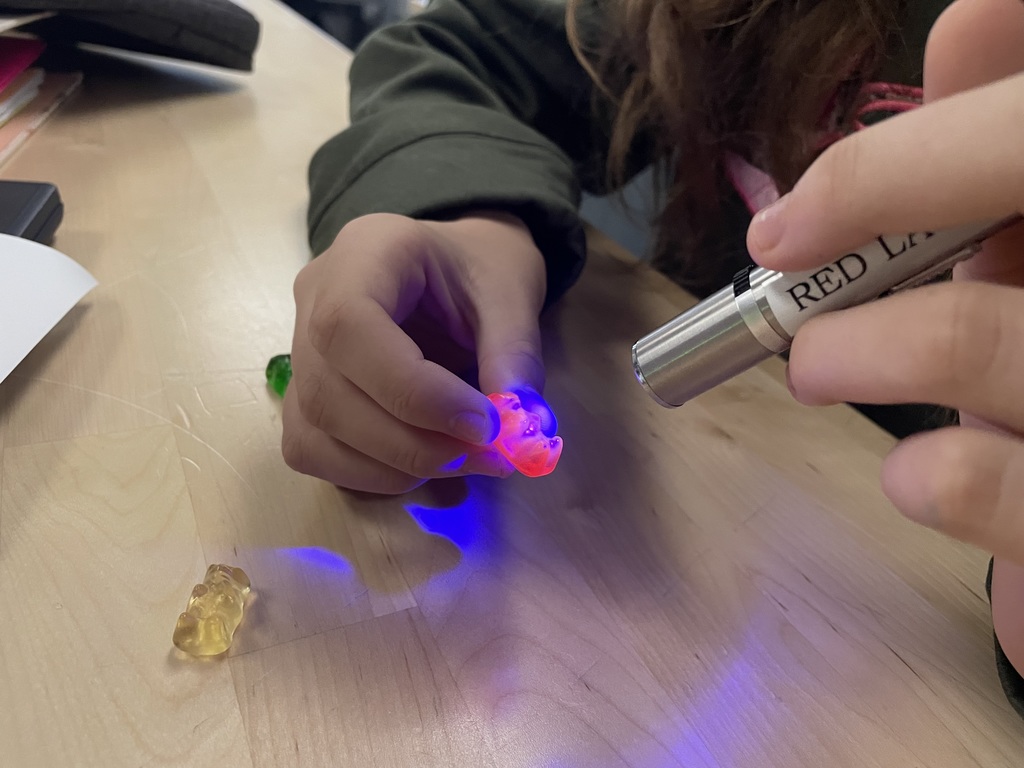 Close-up of hands holding a gummy bear lit with a red and blue laser light.
