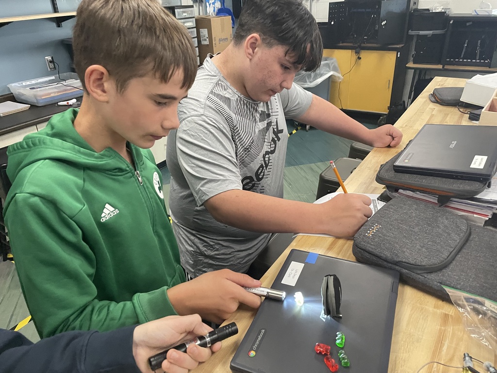 Two students at a workbench use laser lights and record data while shining light through gummy bears.