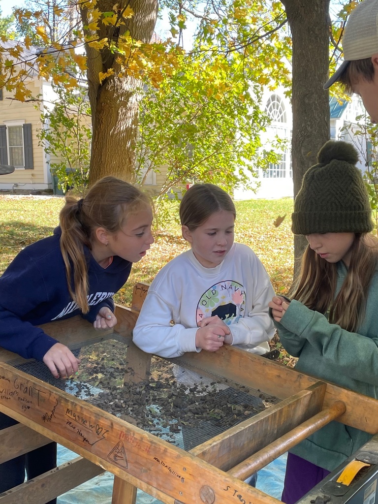 Group of students work together at a sifting station, examining small findings.