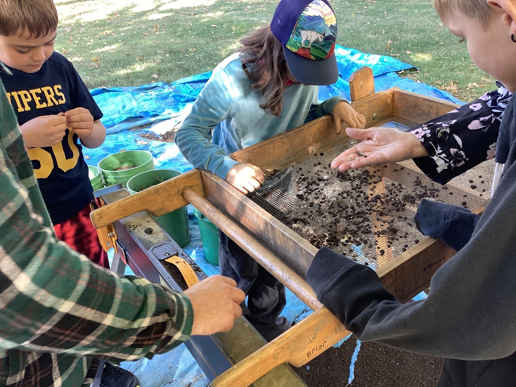 Students sift dirt through a wooden screen, searching for small objects.