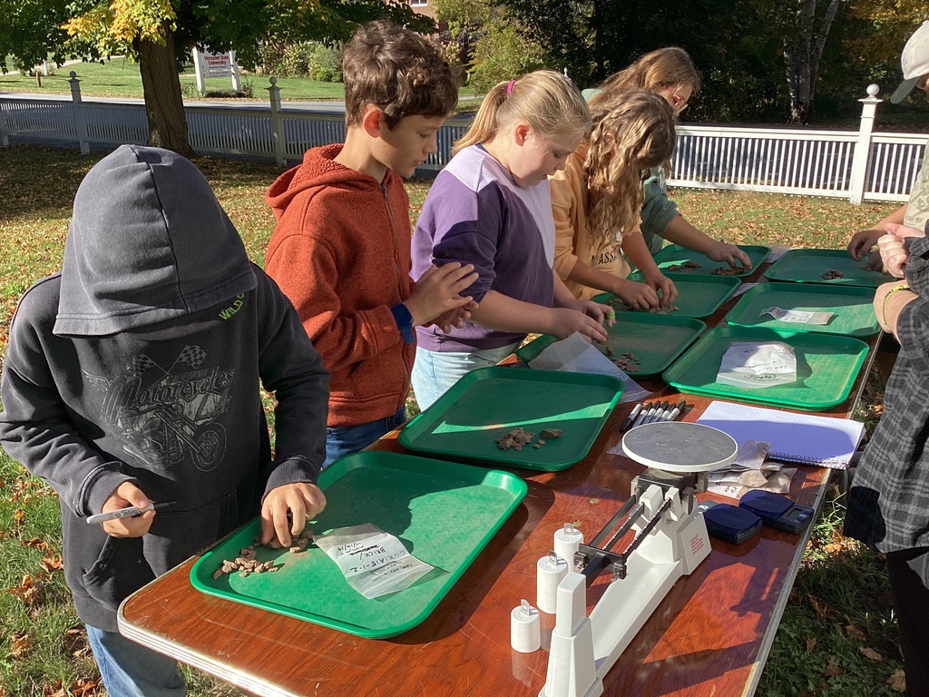 Students sort artifacts on green trays outdoors, using scales and bags for labeling.