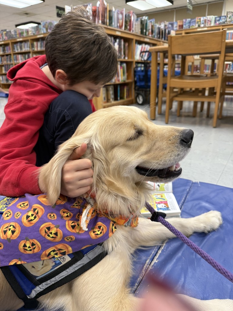 A child in a red hoodie sits beside a golden retriever therapy dog wearing a pumpkin-patterned bandana in the school library.