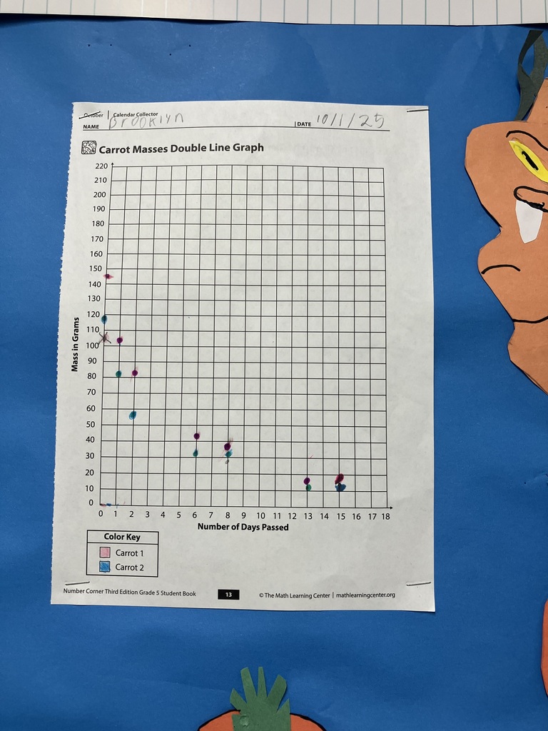Students are learning about mass as they graph the data of the "shrinking carrot"