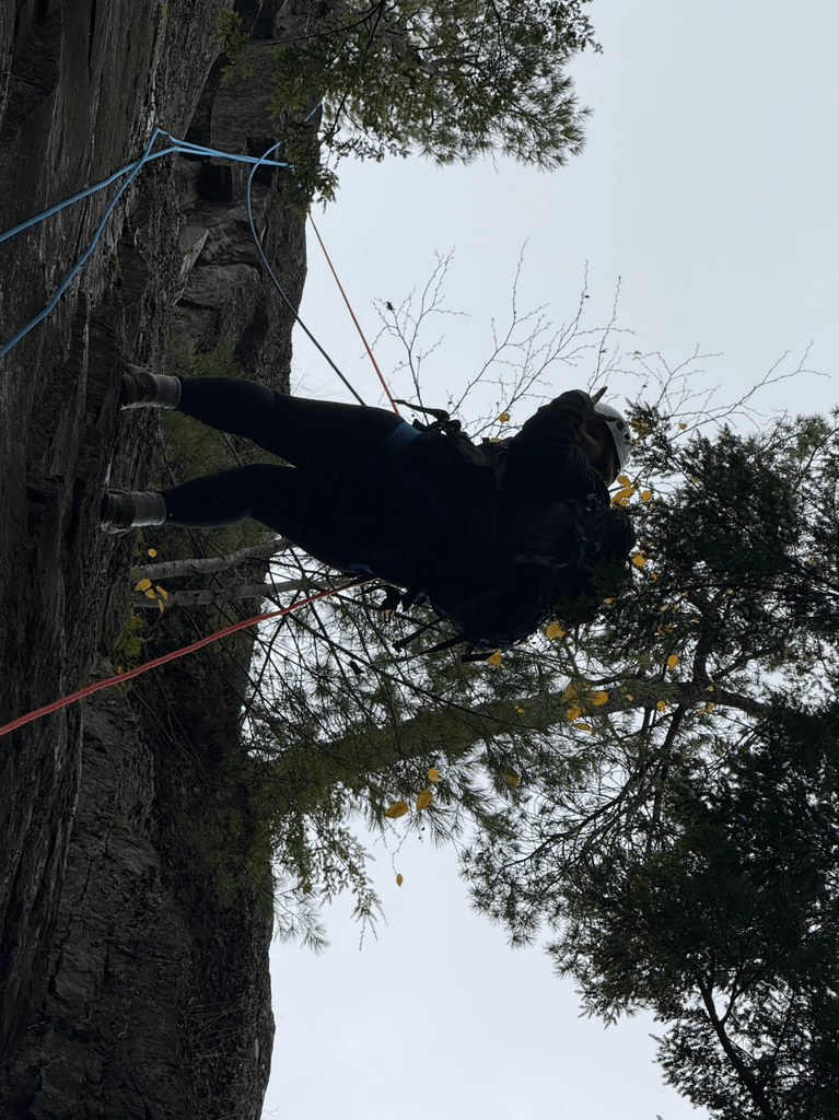 A student rappels down a steep rock wall, surrounded by trees and safety ropes.