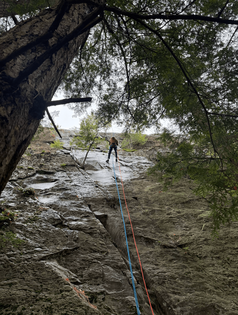 A student rappels down a tall rock face secured by red and blue ropes in a wooded area.