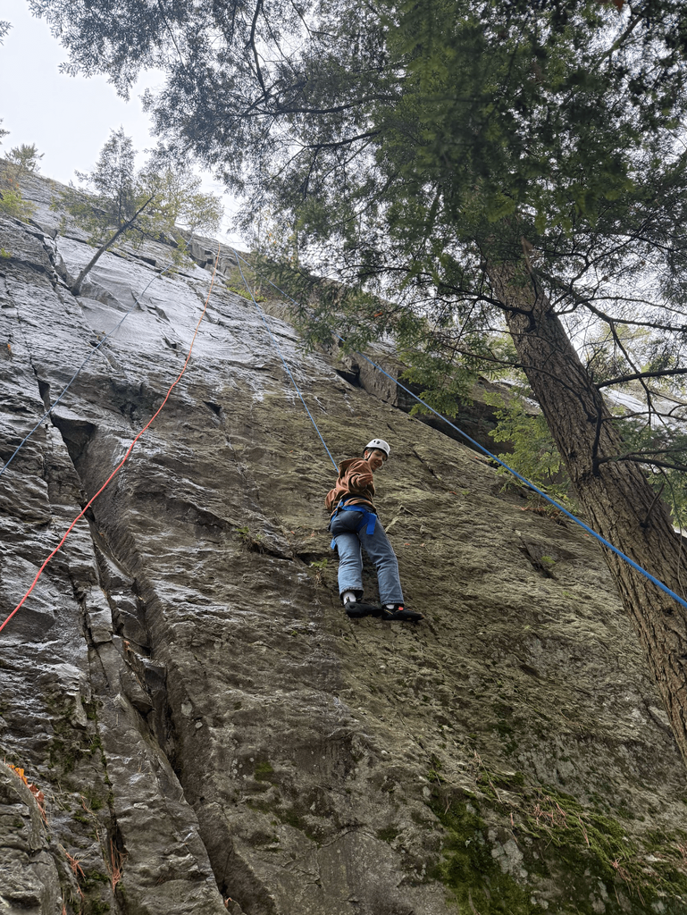 A student in climbing gear ascends a tall rock face surrounded by trees and ropes.