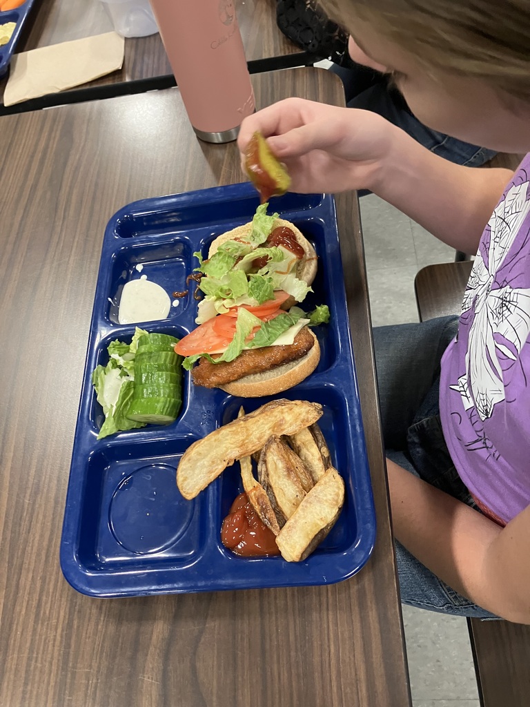 A close-up of a cafeteria tray holding a chicken sandwich topped with lettuce and tomato, potato wedges, and cucumber slices with ranch dressing.