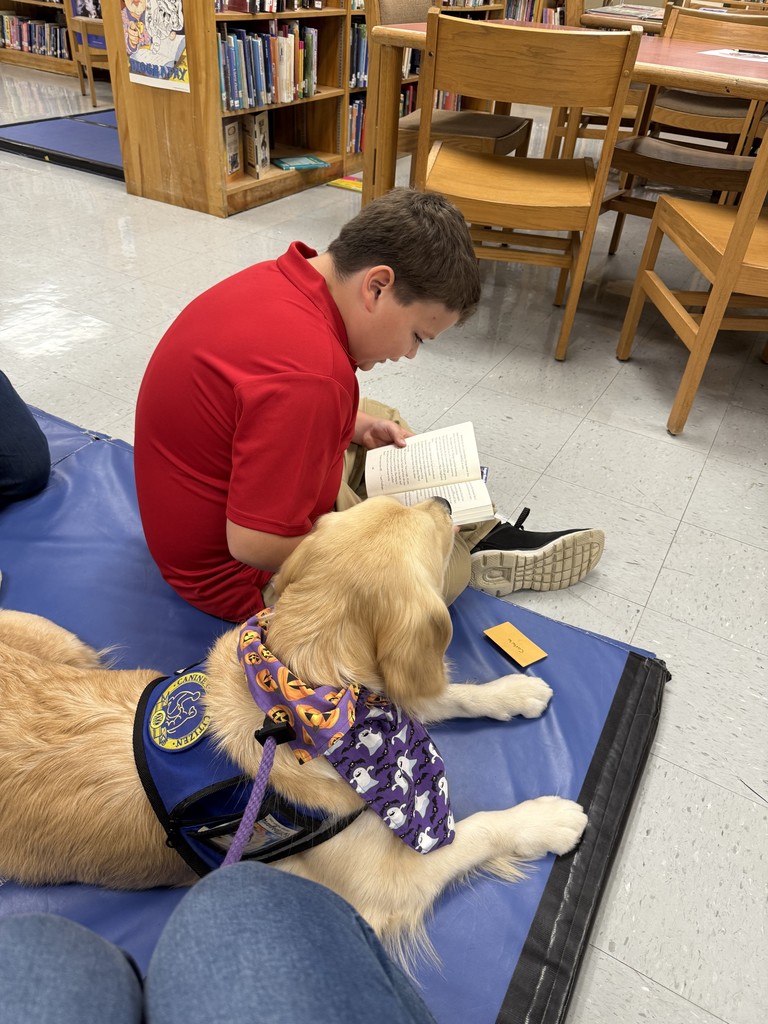 A student in a red shirt reads from a book while sitting next to the golden retriever therapy dog, who lies calmly on a mat listening.