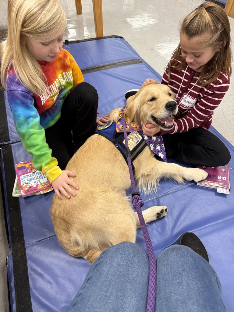 Two young students sit on a blue mat in the library, gently petting a golden retriever therapy dog wearing a purple Halloween bandana and service vest.