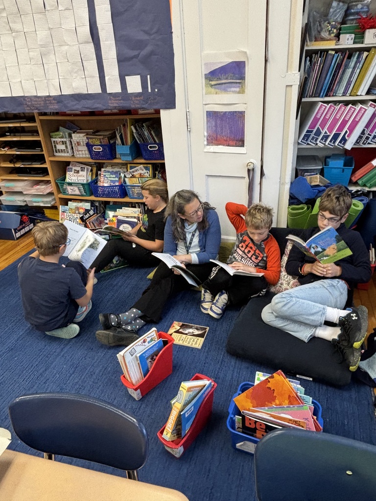 A teacher sits on a blue carpet reading with a small group of students in a classroom surrounded by bookshelves.