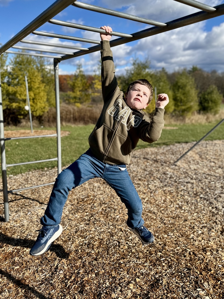 Boy on the playground hangs from monkey bars with a determined expression.