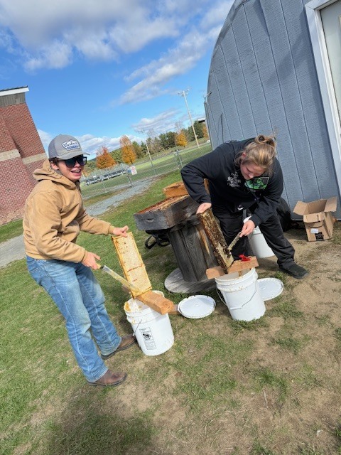 Two students are outdoors scraping beeswax from wooden honey frames placed on top of a wooden spool. Buckets and tools are scattered around them on the grass, and a school building is visible in the background.