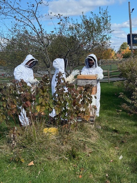 Three students wearing white beekeeping suits and veiled hoods stand in a grassy area, examining a beehive frame partially hidden behind a group of shrubs.