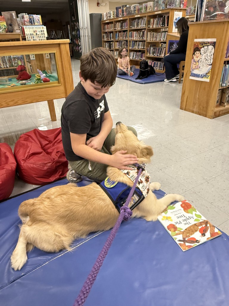 A young student sits on a blue mat in a school library, gently petting a golden therapy dog wearing a blue vest and patterned bandana. A book lies in front of the dog. Other students and another therapy dog are visible in the background among bookshelves and beanbag chairs.