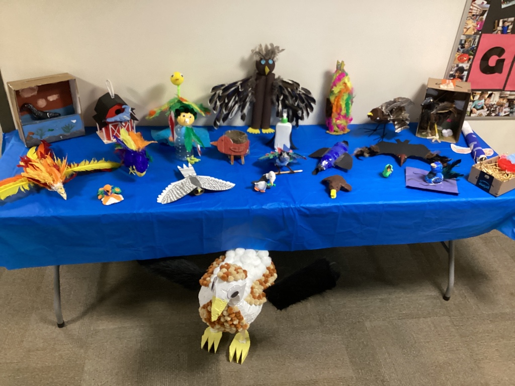 Yesterday was a “Mr. Canty project day,” and the first showcase was all about Adaptation Artistry—bird edition!  Our fourth graders absolutely hit a home run with this year’s creative science project. Students explored bird adaptations by designing their own imaginary bird species, complete with the special traits needed to survive in their unique environments. Using a variety of materials, they crafted birds big and small, each with its own distinct features and story.  Every student proudly presented their creation to the class, explaining the adaptations their bird developed and how those features help it thrive.  If you’d like to meet our “New Flock,” the full collection is now on display in the corridor leading to the CES gym.  A big thank-you to Mr. Canty for guiding our fourth graders through such an engaging and meaningful exploration of the natural world!