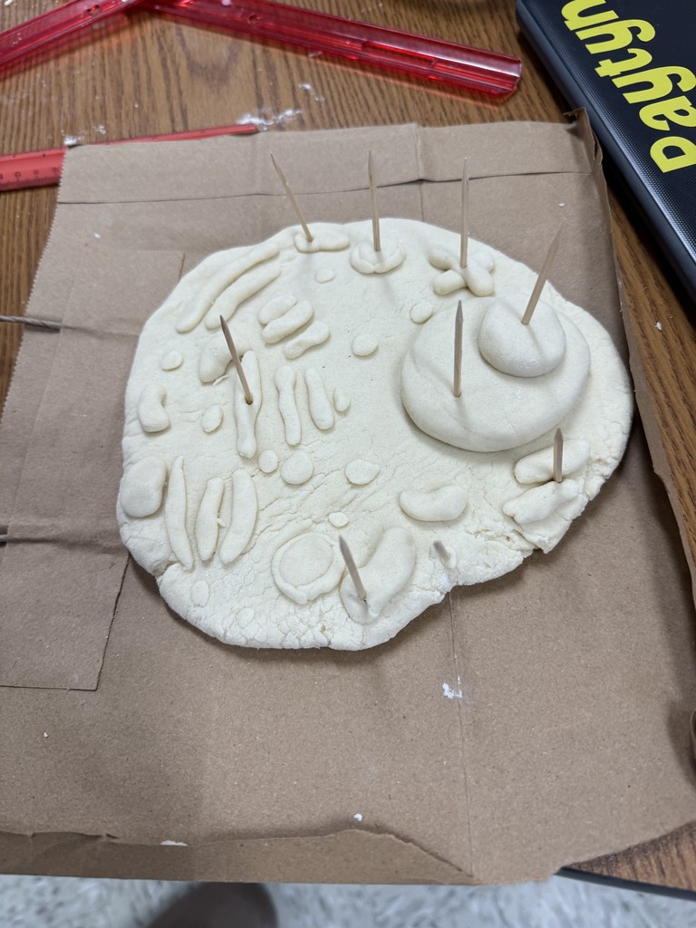 : Close-up of a detailed model made of dough, shaped like a circular cell, with toothpicks and raised dough structures representing different organelles. The dough model rests on a piece of brown paper.