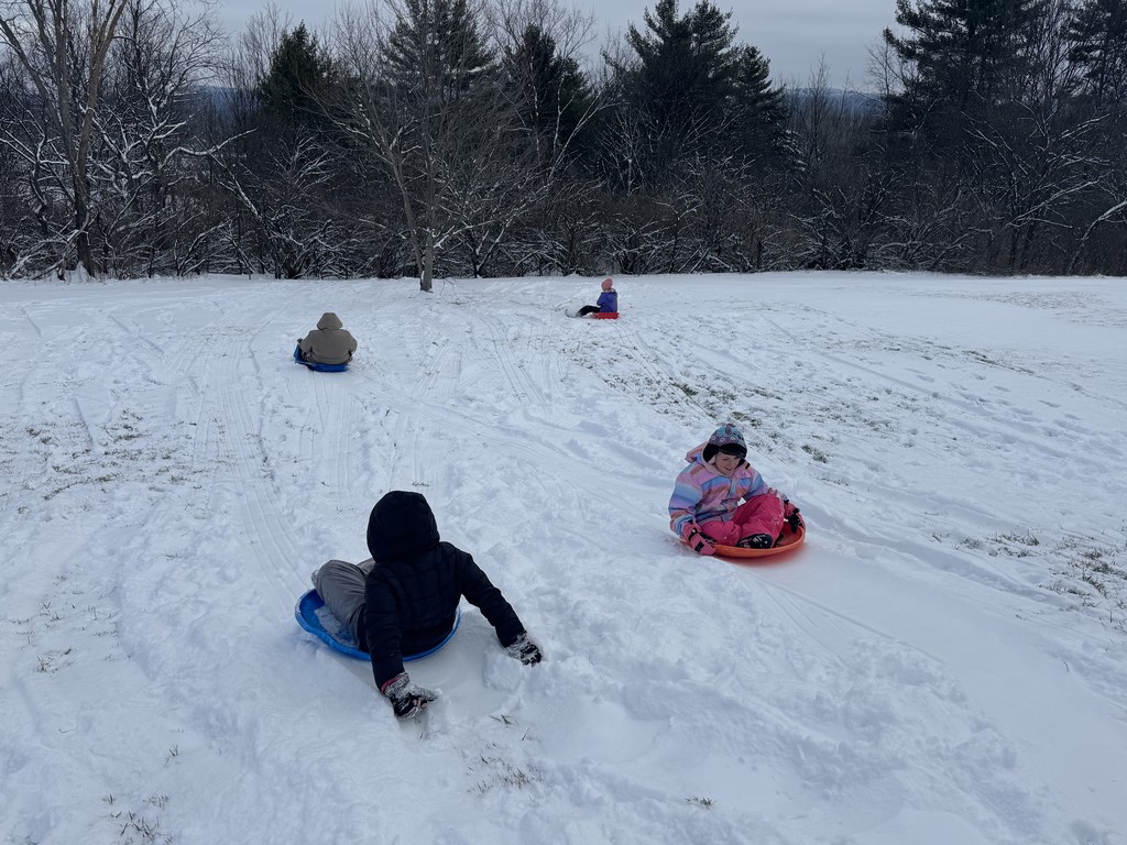  Four children sledding down a gentle, snow-covered hill on plastic saucers and sleds. The background is a line of bare trees and a cloudy sky.  