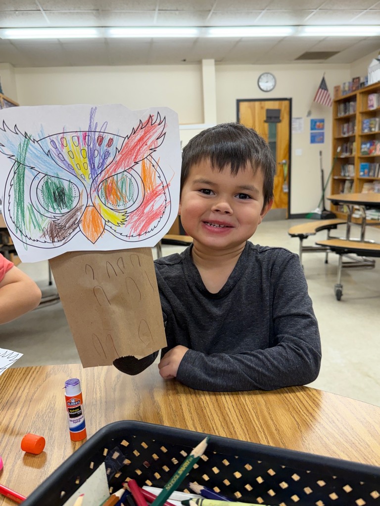 A boy smiles while holding up his finished owl puppet made from a paper bag and a colored owl face.